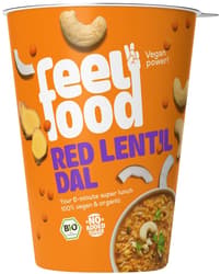 Feel Food BIO Red Lentil Dal VEGAN