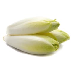 White chicory