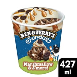 Ben & Jerry's Sundae Marshmallow & S'more