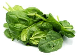 Leaf spinach
