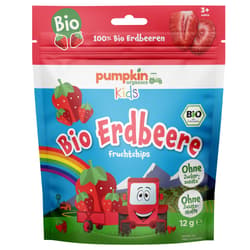 Pumpkin Organics BIO Strawberry fruit crisps