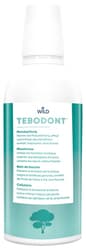 Mundwasser Tebodont Spülung