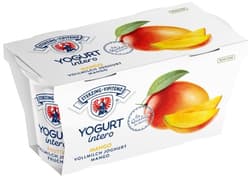 Sterzinger Joghurt Mango 2x125g