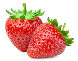 Halbmayrs Erdbeeren