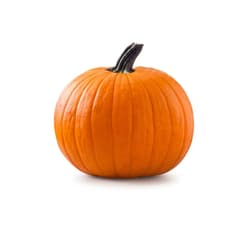 Halloween Kürbis klein, zum Bemalen