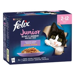 FELIX Junior MULTIPACK 12x85g