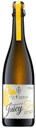 Van Nahmen BIO Sparkling Tea Quitte