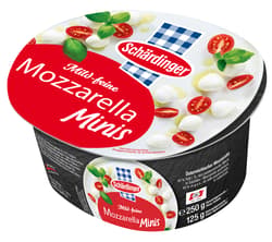 Schärdinger Mozzarella 45% Mini