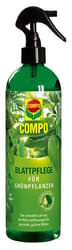 COMPO Foliar care for green plants
