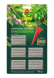 COMPO Green plant and palm fertiliser sticks with GUANO (30 sticks)