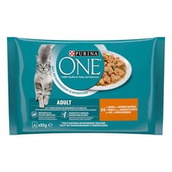 Purina ONE ADULT Chicken & Green Beans