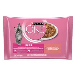 Purina ONE Junior 4er Lachs und Karotte