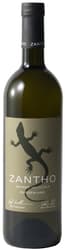 Zantho Grüner Veltliner 2025