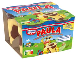 Dr. Oetker Paula Vanille Pudding mit Schokoflecken 4x125g