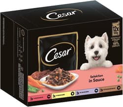 CESAR® Multipack Selektion Rind, Huhn, Lamm, Truthahn in Sauce 4x12x100g