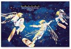 Best of VEGAN Advent Calendar