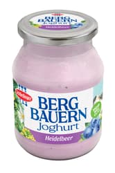 Schärdinger Bergbauern Fruchtjoghurt Heidelbeere im Mehrwegglas