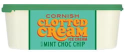 M&S food Cornish Mint Choc Chip ice cream