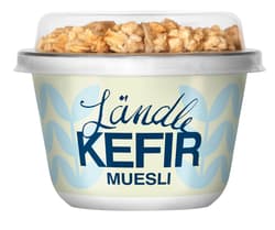Ländle Kefir 160g
