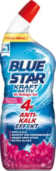 Blue Star WC Reiniger Kraft Aktiv Gel Blütenfrische