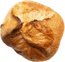 Hager sourdough