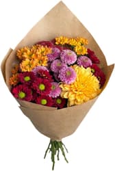 Flori Chrysanthemum Mix