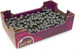 Eat Me Heidelbeeren, Family Pack