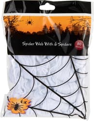 Spider Web with 6 Spiders