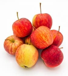 Sonnenobst Habeler "Minis" Apples