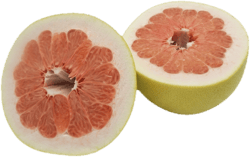 Pomelos rotfleischig