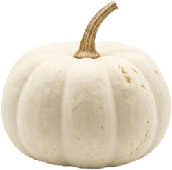 White Halloween Pumpkin