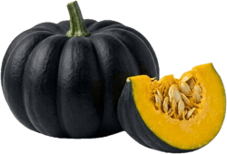 Black Cat Pumpkin