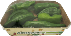 Pimentos de Padron Tasse