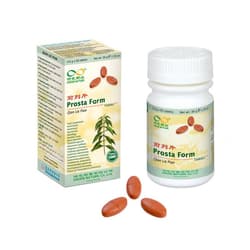 Green Nature Shenzhou Prosta Form TCM Tabletten