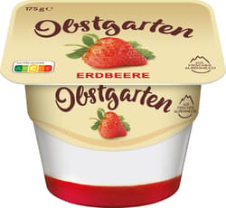 Danone Obstgarten Erdbeere