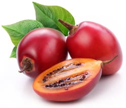 Tamarillo