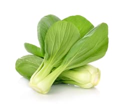 Pak-Choi Baby loose