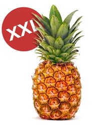 Götterfrucht Ananas XXL