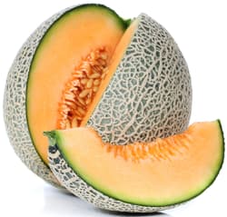 Sugar melon Cantalupe