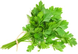 Parsley smooth foiled