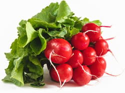 Radish