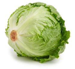 Michi Bauers Eisbergsalat