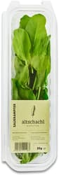 Altschachl Sorrel