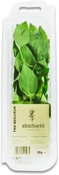 Altschachl Thai Basil