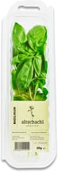 Altschachl Basil