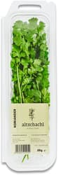 Altschachl Coriander