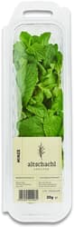 Altschachl Mint