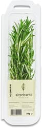 Altschachl Rosemary