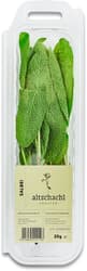 Altschachl Sage