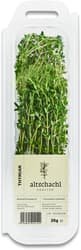 Altschachl Thyme